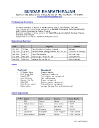 test manager resume