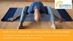Benefits Of Kurmasana Tortoise Pose Sooriya Wellness And Yoga Centre