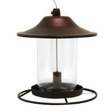 Bird Feeder Pole Home Depot Costa Farms Zz Plant In 6 In Grower Pot 6zz The Home Depot Bird Feeders Hanging Bird Feeders Wild Bird Feeders