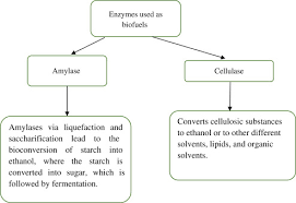 Nonrenewable Resources An Overview Sciencedirect Topics