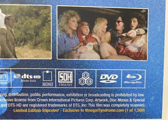 My Chauffeur slipcover : r/VinegarSyndromeFilms