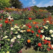 THE 10 BEST Yokohama Gardens (2026) - Tripadvisor