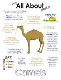 Pin On Desert Animals Dry Climate Animals