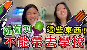 SunnyYummy玩具箱】十个不能带去学校的东西！拿去学校一定会被老师骂的萝卜刀开箱-2万粉丝1千作品_生活视频-免费在线观看-爱奇艺