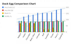 The Best Ducks For Laying Eggs Pethelpful