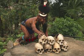 Image result for nagaland images