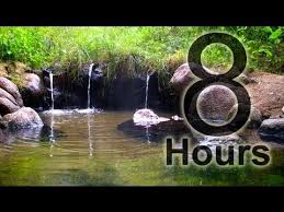 Hot Springs Early Morning Rain Forest 8 Hour Relaxations 2 Birds Stream Steam Calm Youtube Relaxation Meditation Quick Meditation Nature Sounds