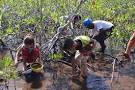 Workers from Holguin Work in Favor of the Environment