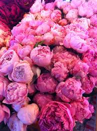 Pike place market is a public market overlooking the elliott bay waterfront in seattle, washington, united states. Spare Time Shooter Pike Place Market Peonies Other Flowers Peonies Flower Aesthetic Beautiful Flowers