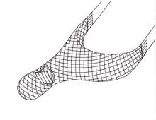 Read on mobile enter reading mode. Fish In Net Coloring Page Novocom Top