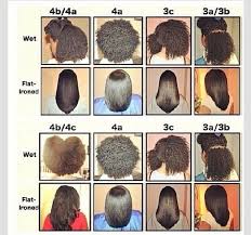 What Hair Type Are U Natural Hair Types Hair Type Chart Hair Styles