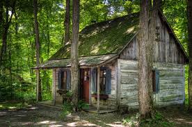 Lonely Wooden Hut Wooden Hut Hut Abandoned Houses