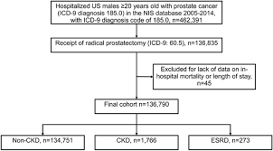 These are the diseases we'll discuss in this lecture. Post Surgical Outcomes Of Patients With Chronic Kidney Disease And End Stage Renal Disease Undergoing Radical Prostatectomy 10 Year Results From The Us National Inpatient Sample Bmc Nephrology Full Text