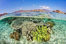 14 Best Places To Go Snorkeling In The World Planetware
