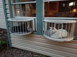 We did not find results for: Cat Window Box Cat Solarium Cat Window Sill Perch Balcony Decoration Eco Friendly Garden Ideas