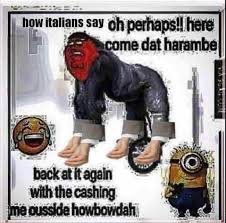 Live Fast Die Young Bad Girls Do It Well Meme Pin On Nice