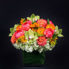 View location, address, reviews and opening hours. Send Ranunculus Stamford Ct Flower Delivery Bloomnation