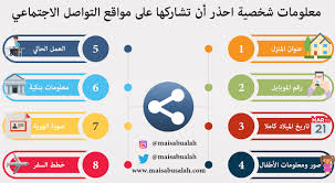 انفوجرافيك وإعلام اجتماعي معلومات شخصية احذر أن تشاركها على مواقع التواصل ال Pie Chart Infographic Chart