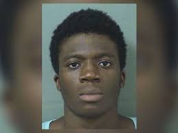 Boynton police: Man arrested in car burglaries; alleged accomplice drowns  in pond