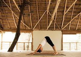 Check spelling or type a new query. Why A Yoga Retreat Is The Perfect Choice For The Solo Traveler Travelzoo