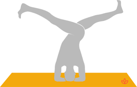 What Is Parivrtta Eka Pada Sirsasana Definition From Yogapedia Meditation Music Yoga Asanas Yoga