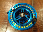 Kingfisher reel