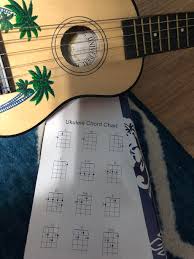 The Chord Charts On The Box Are For A Ukulele That Has Four