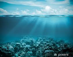 Background biru ataupun wallpaper biru sunggguh sangat. Sea Or Ocean Underwater Deep Nature Background Wall Mural Pixers We Live To Change Ocean Underwater Nature Backgrounds Underwater Photography Ocean