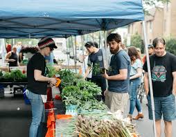 The opening hours are sundays. Home Freshfarm