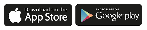 Play Store Icon Download Everju