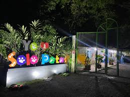 VETERINARIA SOLO PATAS