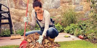 Laub Vom Nachbarn Wer Ist Verantwortlich