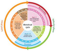 Sepanjang tempoh itu, beliau tidak mendiamkan diri sebaliknya beberapa kali mendapatkan nasihat pakar mengenai keadaan dirinya. Ladies Jangan Ambil Mudah Jika Period Cycle Tak Teratur Anda Mungkin Ada Penyakit Ini