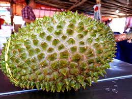& europe (malaysian trade commissioner & ambassador) 【 malaysia at gmt+0800: Stinking Rich Malaysia Aims To Cash In On China S Durian Craze The Salt Npr