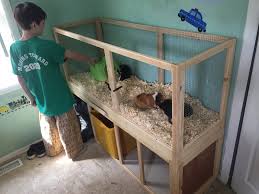 There are infinite ways in which to decorate to your pig's cage but here are some ideas you may want to use when designing a fun habitat for your guinea pigs. Build A Guinea Pig Cage With Easy Cleaning Projects With Kids 4 Steps Instructables
