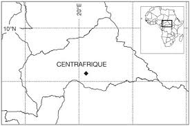 Image result for Leptactina platyphylla