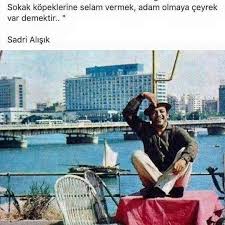 Sokak Kopeklerine Selam Vermek Adam Olmaya Ceyrek Var Demektir Sadri Alisik Sozler Anlamlisozler Gu Baseball Cards Lyric Quotes How Are You Feeling