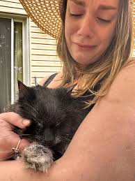 Lost the best cat in the world today. I'm glad he was able to be euthanized  at home. Outside in the sunshine cuddled in my arms.He was my soul kitty.  Purred until