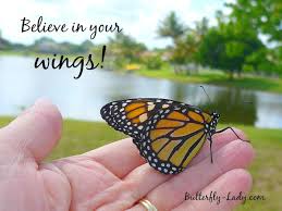 Believe In Your Wings Butterfly Quotes Butterfly Inspiration Butterfly Wings