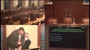 Rvačka a strkanice poslance lubomíra volného v poslanecké sněmovně. Video Dostanes Flakanec Ve Snemovne Se Strhla Rvacka Poslanec Volny Se Pral O Mikrofon Irozhlas Spolehlive Zpravy