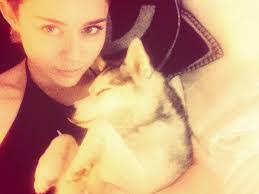 Eloise Lynn's Instagram, Twitter & Facebook