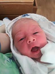 Mortensen and McKellar's Karate