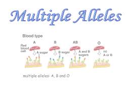Pedigree practice problems worksheet answers pdf fill. Non Mendelian Genetics Biology Tutorvista Com Mendelian Inheritance Biology Gene Expression