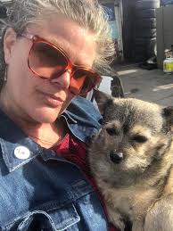 dogs in need of a home in Douglas