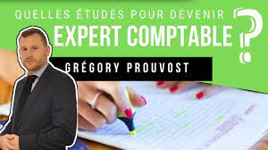 À l'issue de ce stage, le stagiaire pouvait présenter le dec et devenir expert comptable en cas de. Quelles Sont Les Etudes Pour Devenir Expert Comptable Youtube