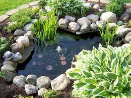 Fish statue, concrete garden figure, concrete fish, cement fish, garden decor, stone fish, fish decor, pond accents, cast stone fishes. How To Choose Your Pond Color