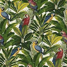 Pin On Wallpaper Freundin home collection paradise vliestapete papagei.