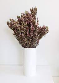 Preserved Heather Flowers In Pink 18 20 Bundle 4 25 Oz Bunch How To Preserve Flowers Heather Flower Green Wedding Flowers