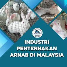 Analisis pendapatan usaha peternakan ayam buras pedaging di desa bungunloe. Industri Arnab Di Malaysia