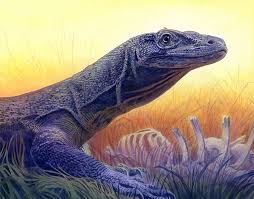 Komodo Dragon By Alanpaints On Deviantart Komodo Dragon Komodo Animals Artwork
